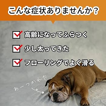 Amazon | アプリア ドーナッツボールプラス 犬用 バランスボール